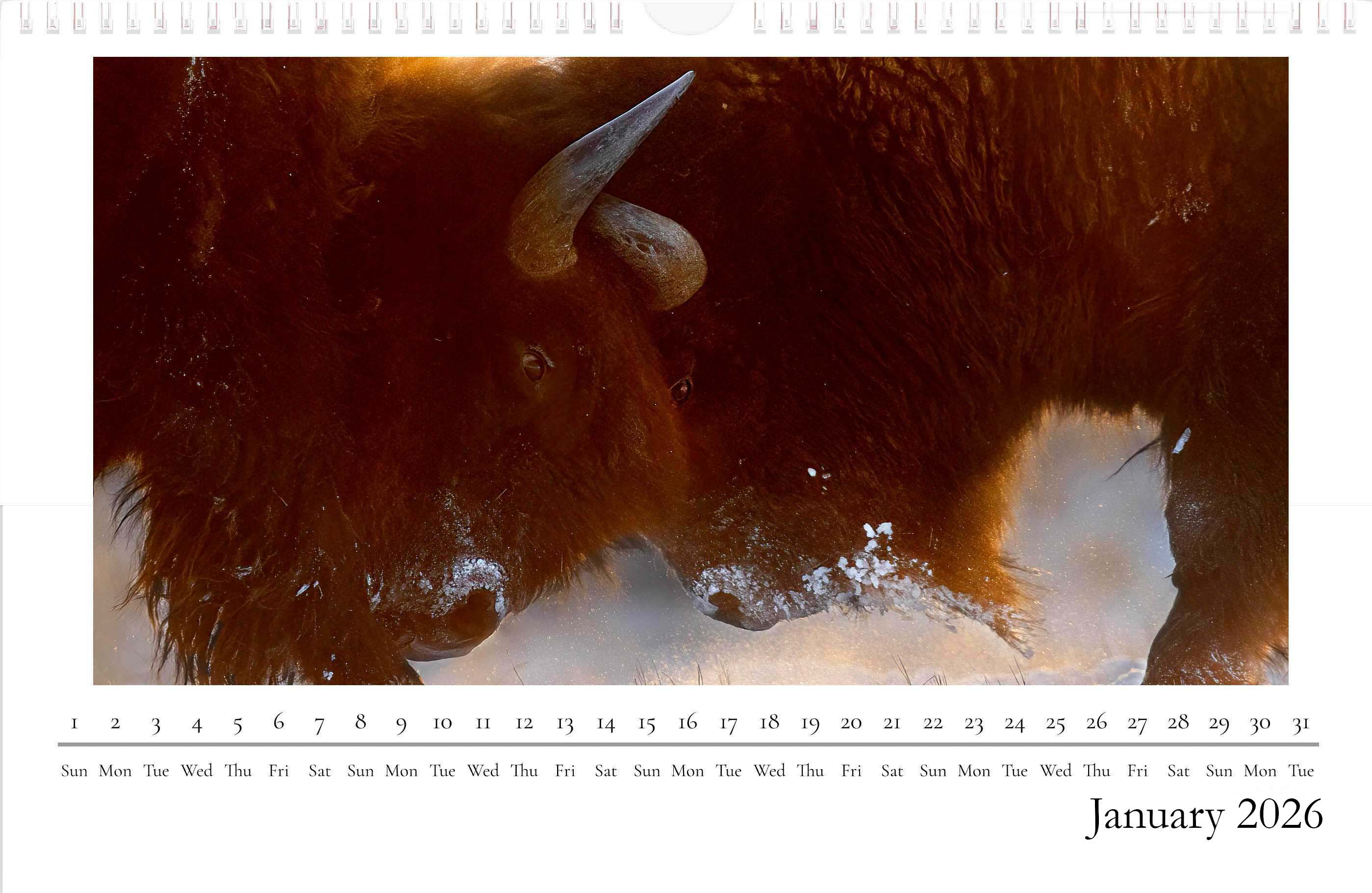 Calendar: month of January