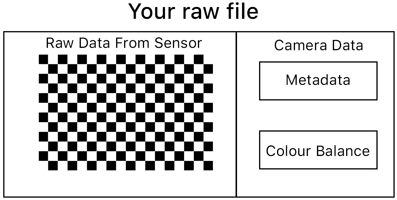 Illustration of Raw file contents