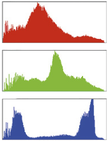 A camera's histogram