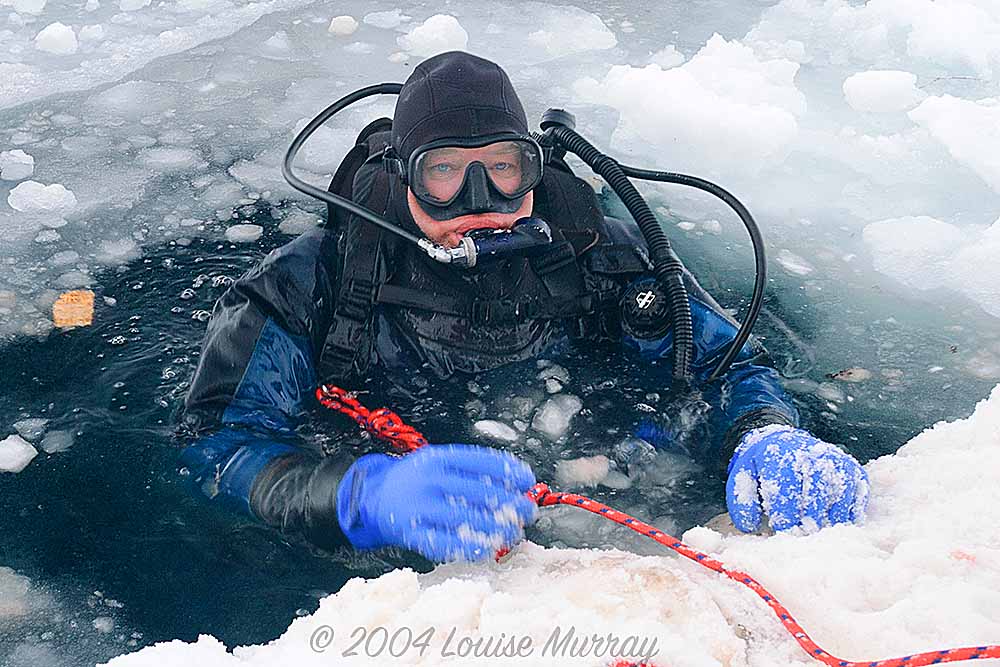 Photographers taking photos of bird nesting
