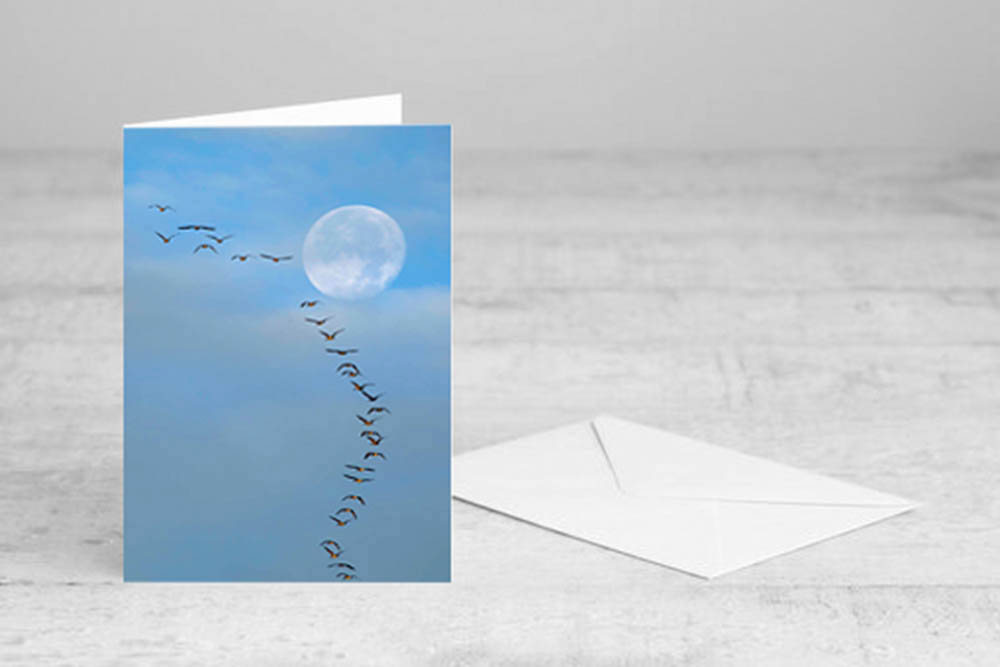 Geese flying near full moon, vertical.