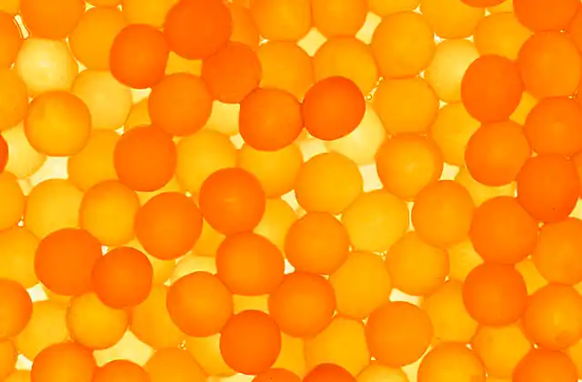 Brown Trout (Salmo trutta) Newly laid eggs.